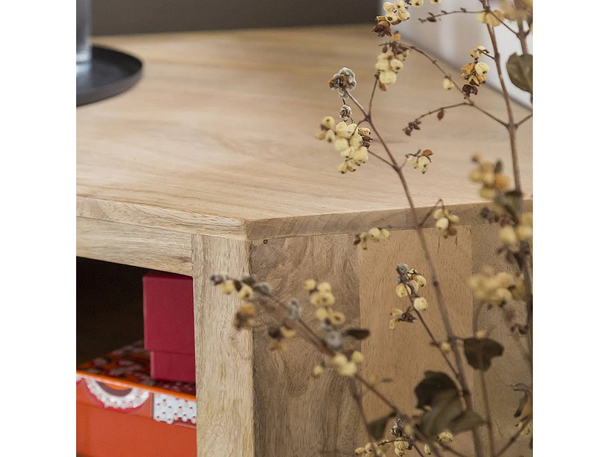Meuble TV en bois de manguier Lyam