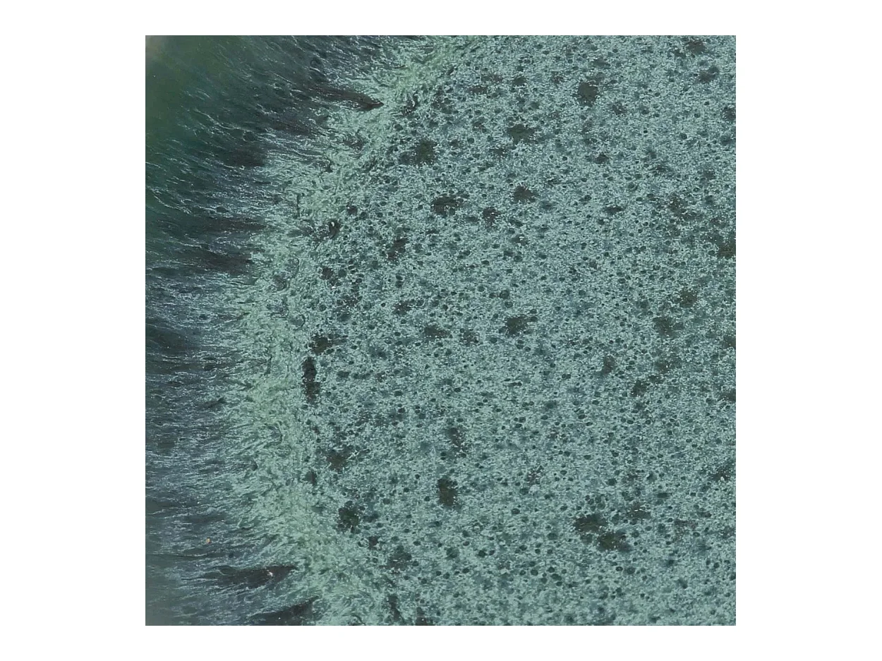 L’Assiette À Salade Aqua - Set De 6