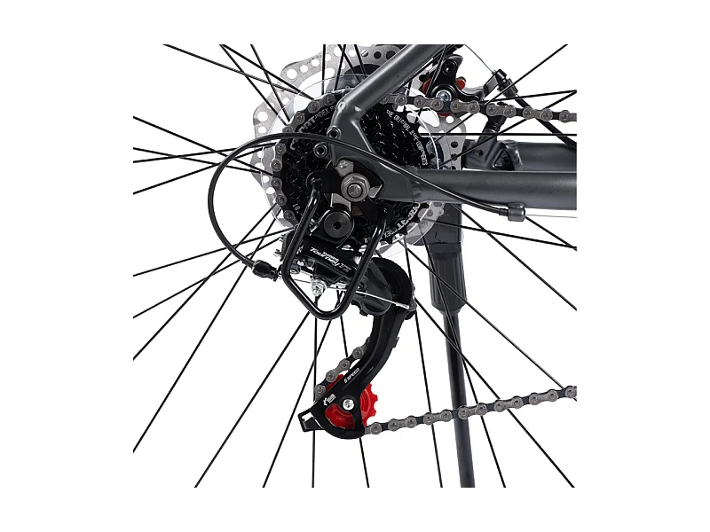 MTB Alluminio 29 Pollici, 21 Velocità, Freni a disco meccanici, carico max 120kg, preassemblato, per adulti da 175 a 190cm