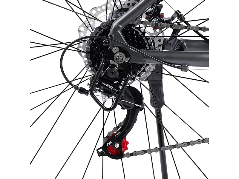 Vélo Tout Terrain, VTT Aluminium 29 Pouces, 21 Vitesses, Freins à disque mécaniques,  charge max 120kg, vormontiert, pour les adultes de 175 à 190cm