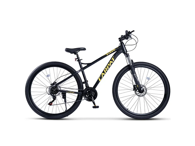 Vélo Tout Terrain, VTT 29 Pouces - 21 Vitesses Suspension Avant - avec Freins à disque hydrauliques - 85% vormontiert - pour les adultes de 175 à 190cm