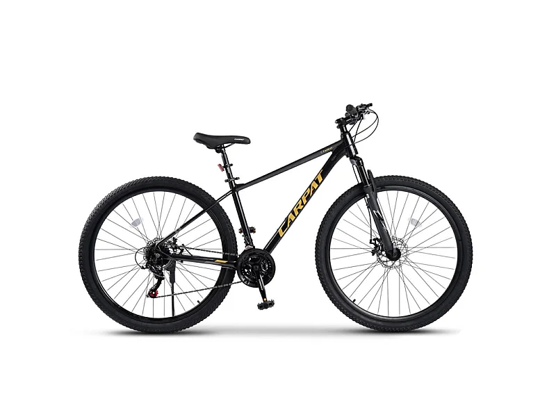 Vélo Tout Terrain VTT Aluminium 29 Pouces, 21 Vitesses, Freins à disque mécaniques,  charge max 120kg, vormontiert, pour les adultes de 175 à 190cm