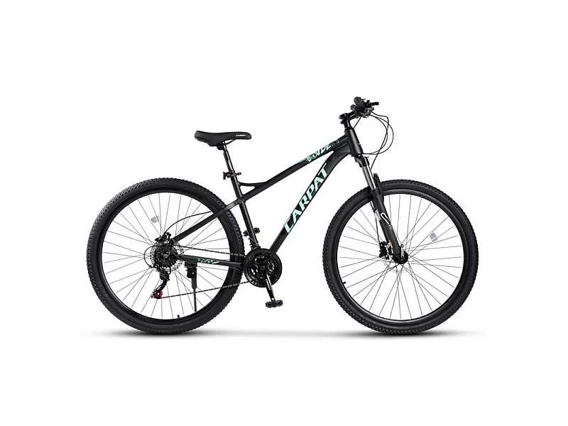 Vélo Tout Terrain, VTT 29 Pouces - 21 Vitesses Suspension Avant - avec Freins à disque hydrauliques - 85% vormontiert - pour les adultes de 175 à 190cm