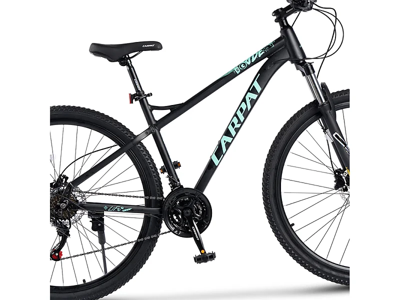 Vélo Tout Terrain, VTT 29 Pouces - 21 Vitesses Suspension Avant - avec Freins à disque hydrauliques - 85% vormontiert - pour les adultes de 175 à 190cm