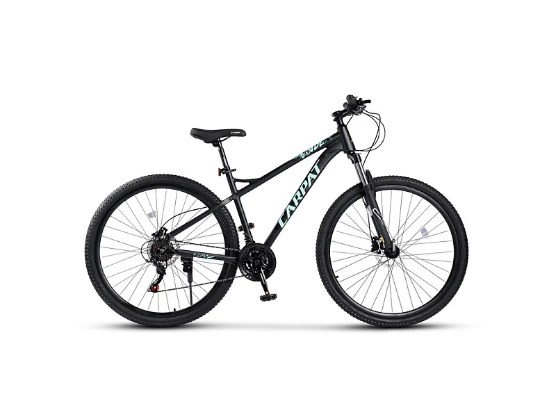 Vélo Tout Terrain, VTT 29 Pouces - 21 Vitesses Suspension Avant - avec Freins à disque hydrauliques - 85% vormontiert - pour les adultes de 175 à 190cm