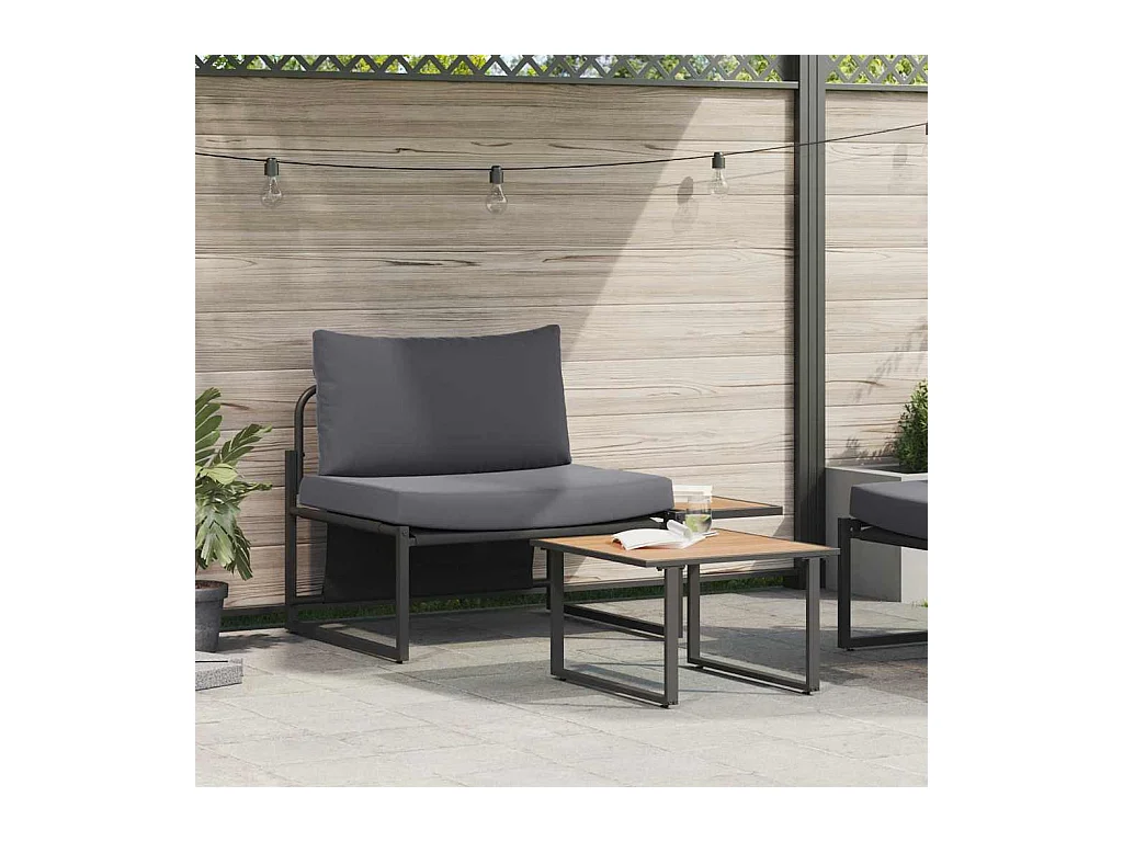Ensemble de canapé de jardin 2 pcs Anthracite Acier