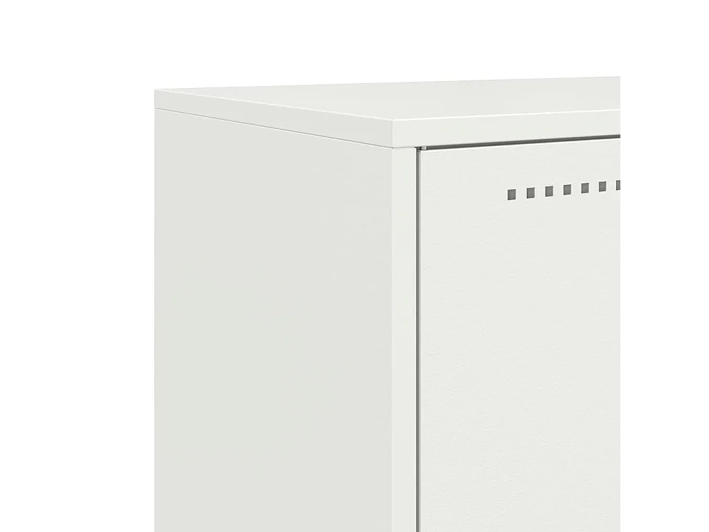 Hoge kast 68,5x38,5x107 cm staal wit