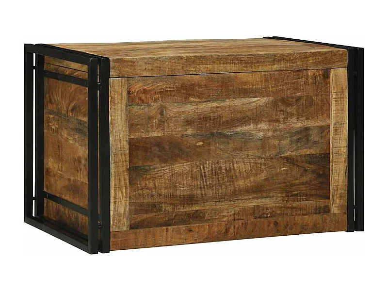 Opslagdoos met opslag 80 x 50 x 50 cm Ruw mangohout en metaal