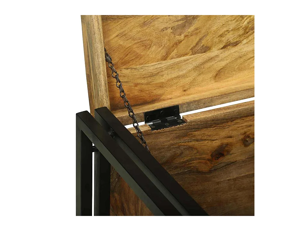 Boîte de Rangement 80 x 50 x 50 cm Bois de mangue brut et métal