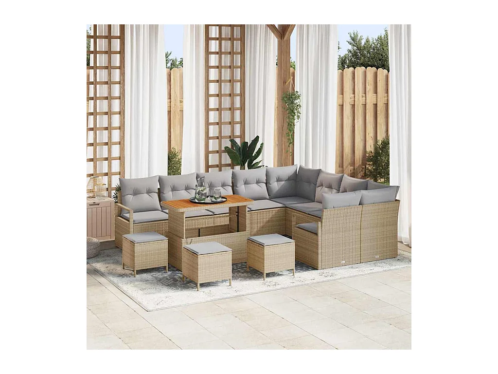 Ensemble de canapé de jardin 13 pcs Beige et Gris clair