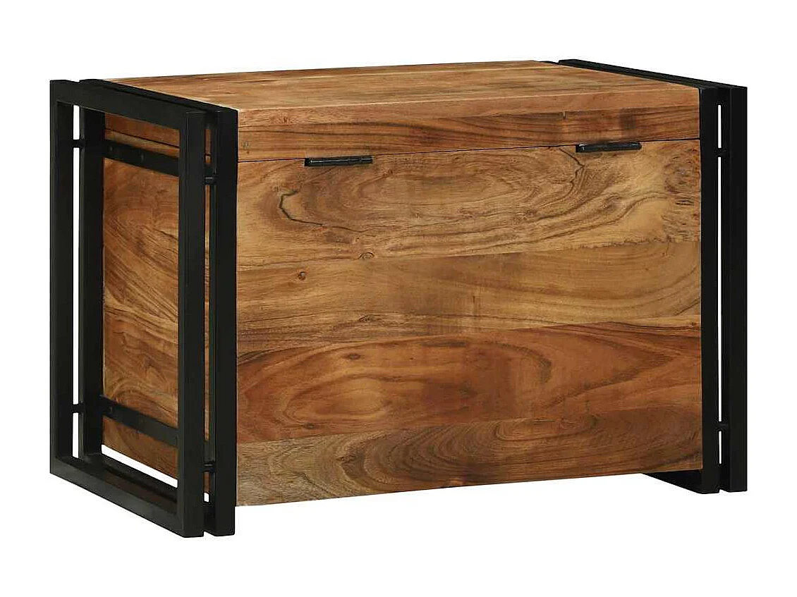 Caixa de Armazenamento com armazenamento 60 x 40 x 41 cm