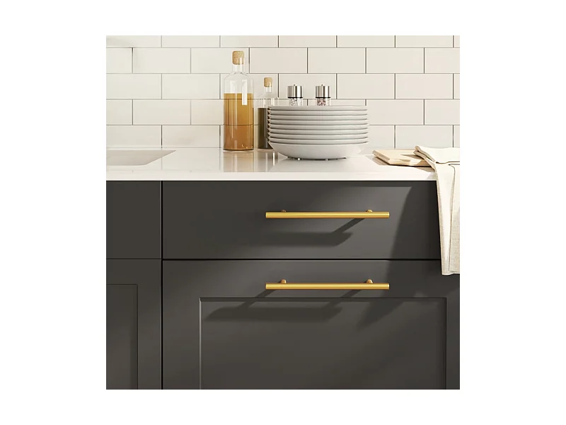 Handvatten 10 st 160 mm roestvrij staal goudkleurig