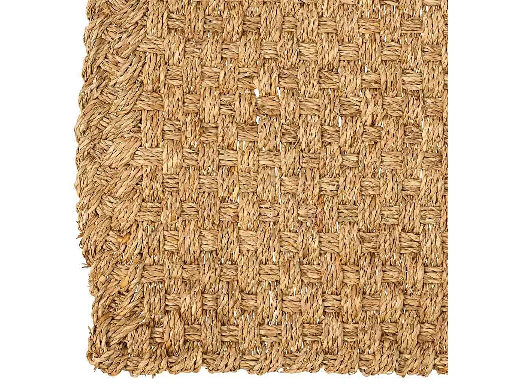 Felpudo de fibra marrón 60x35x1.2h cm