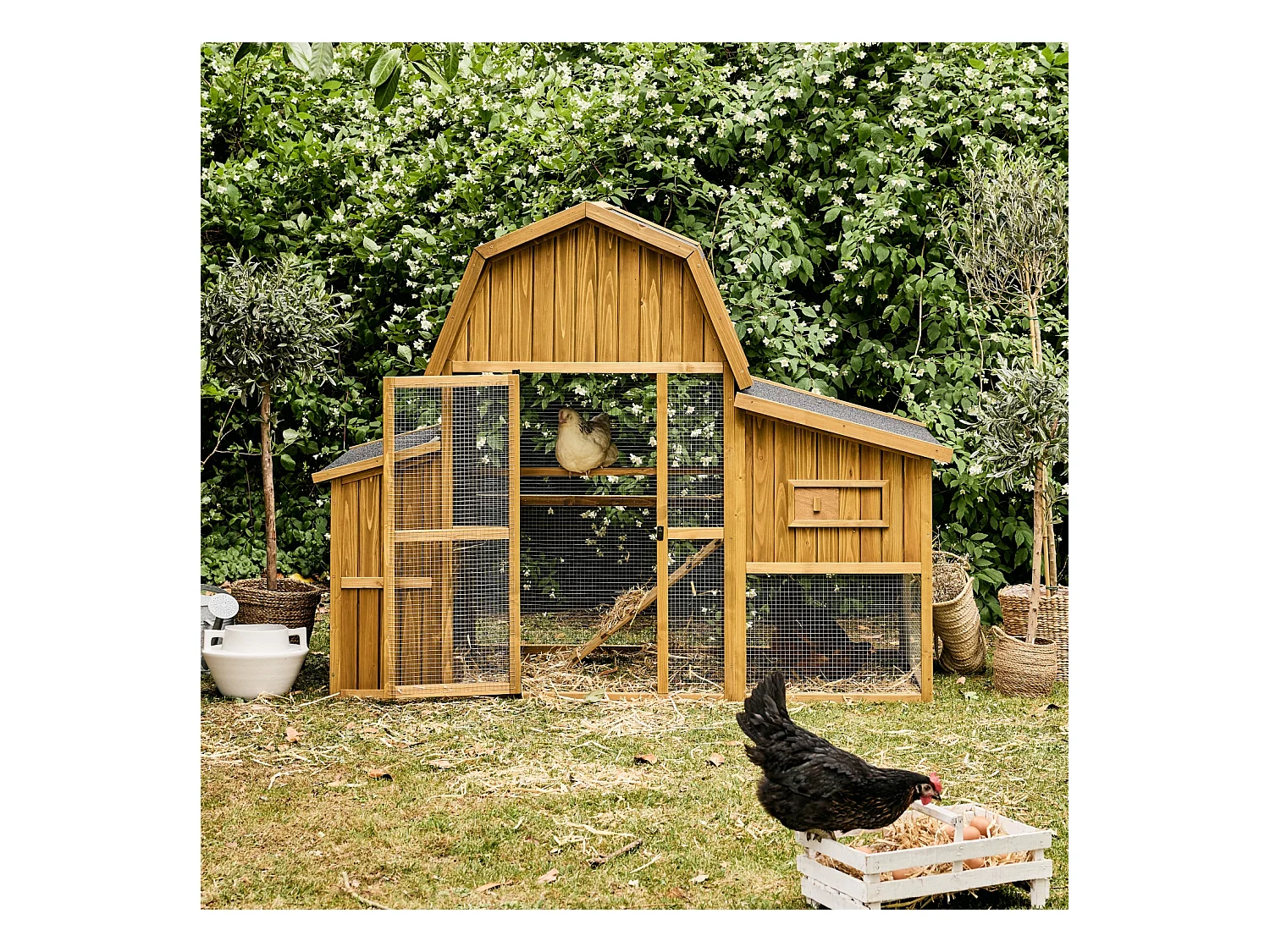 Poulailler 6 poules bois de sapin - 195.5 x 90 x 152.5 cm - Gasconne