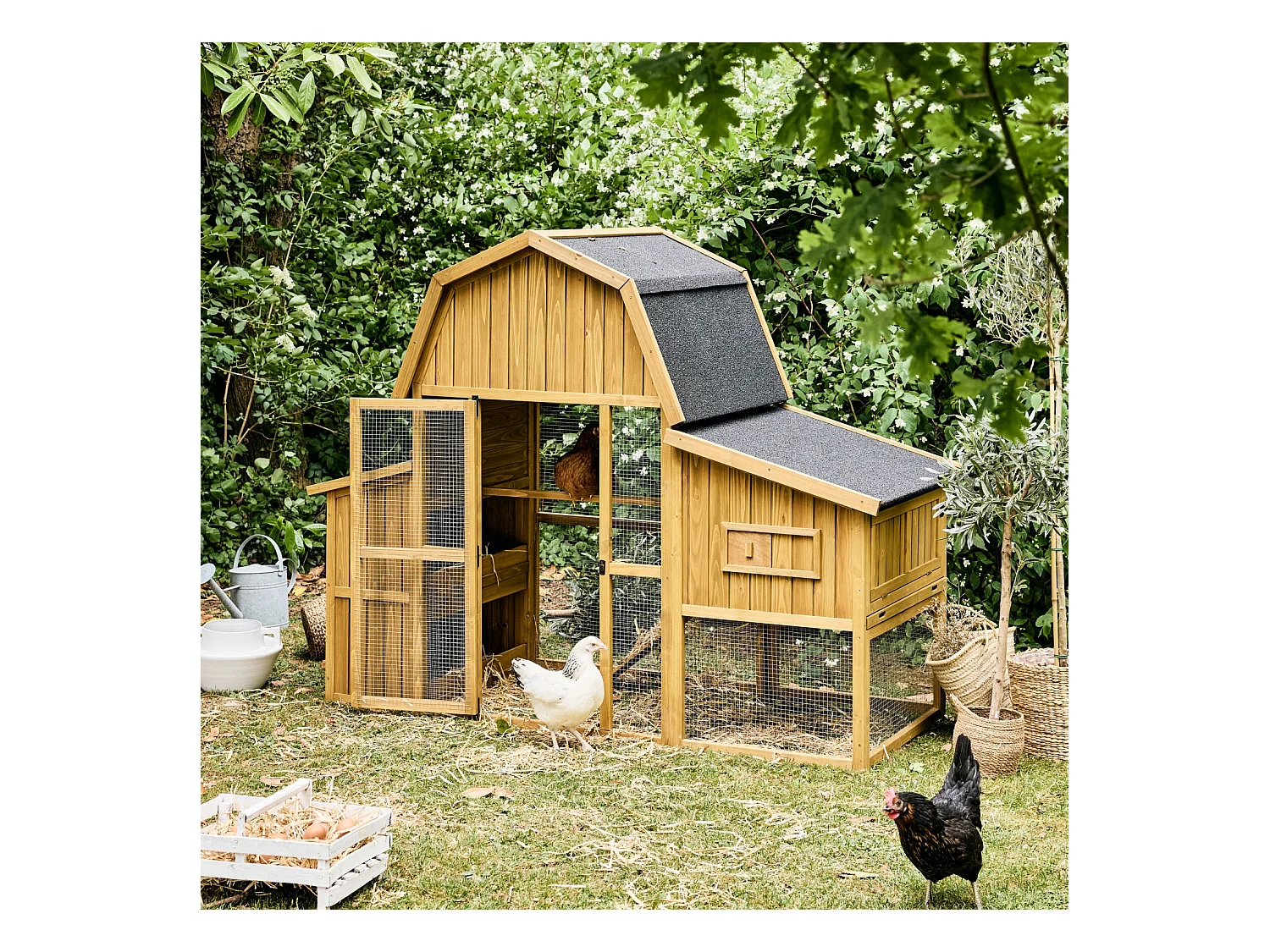 Poulailler 6 poules bois de sapin - 195.5 x 90 x 152.5 cm - Gasconne