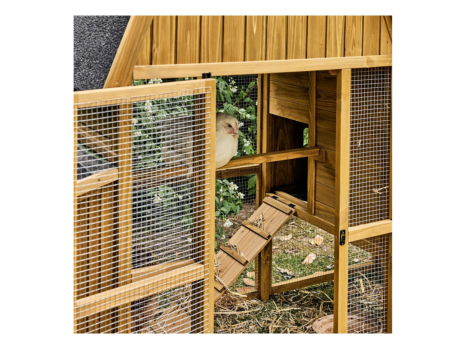 Poulailler 6 poules bois de sapin - 195.5 x 90 x 152.5 cm - Gasconne