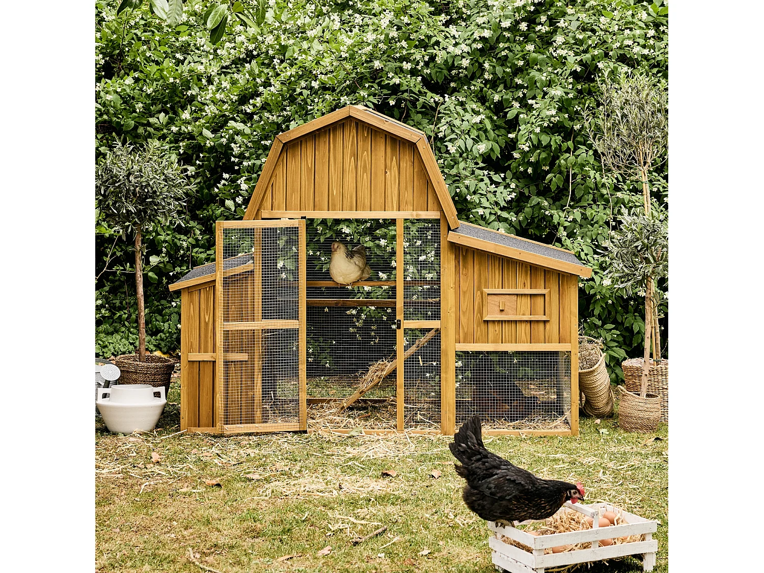 Gallinero en madera de abeto para 6 gallinas madera