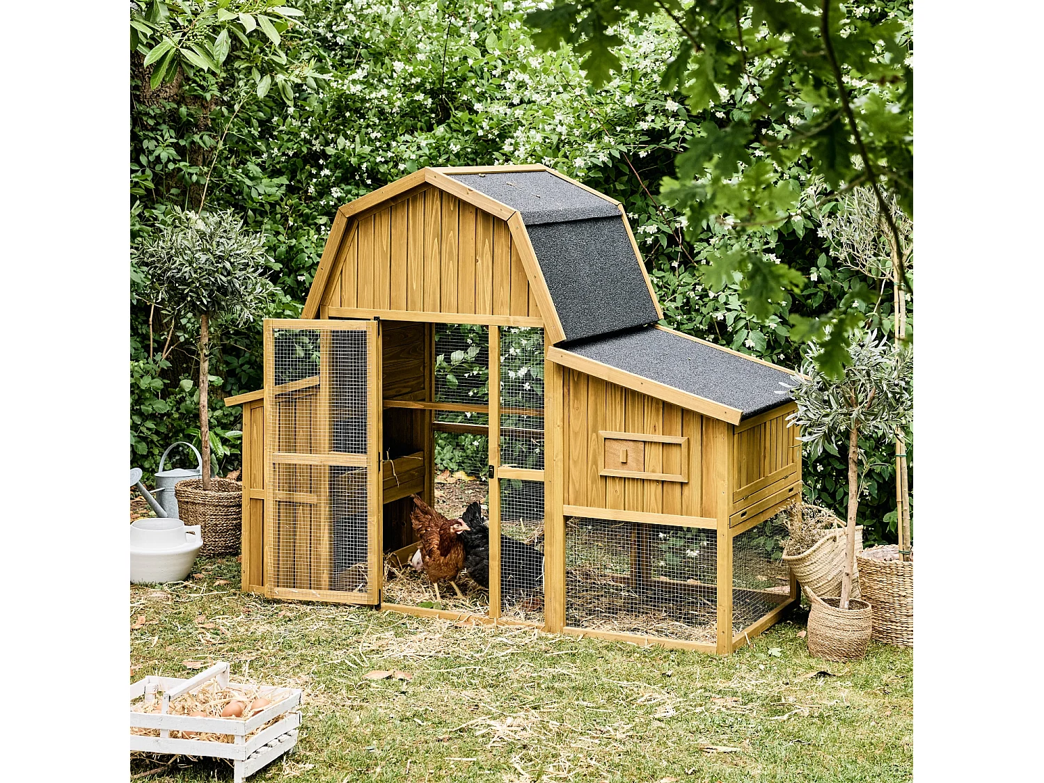 Gallinero en madera de abeto para 6 gallinas madera