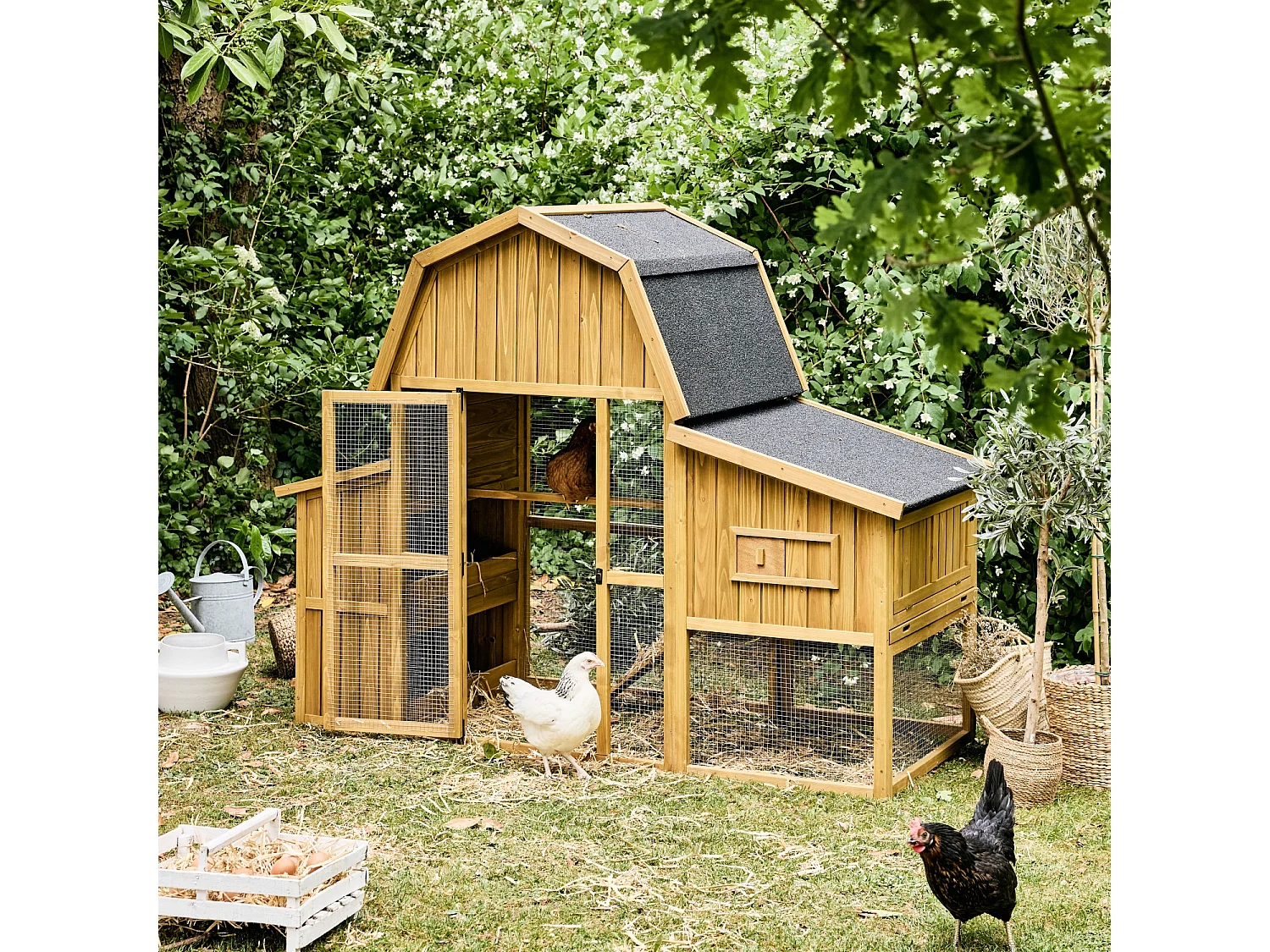 Gallinero en madera de abeto para 6 gallinas madera