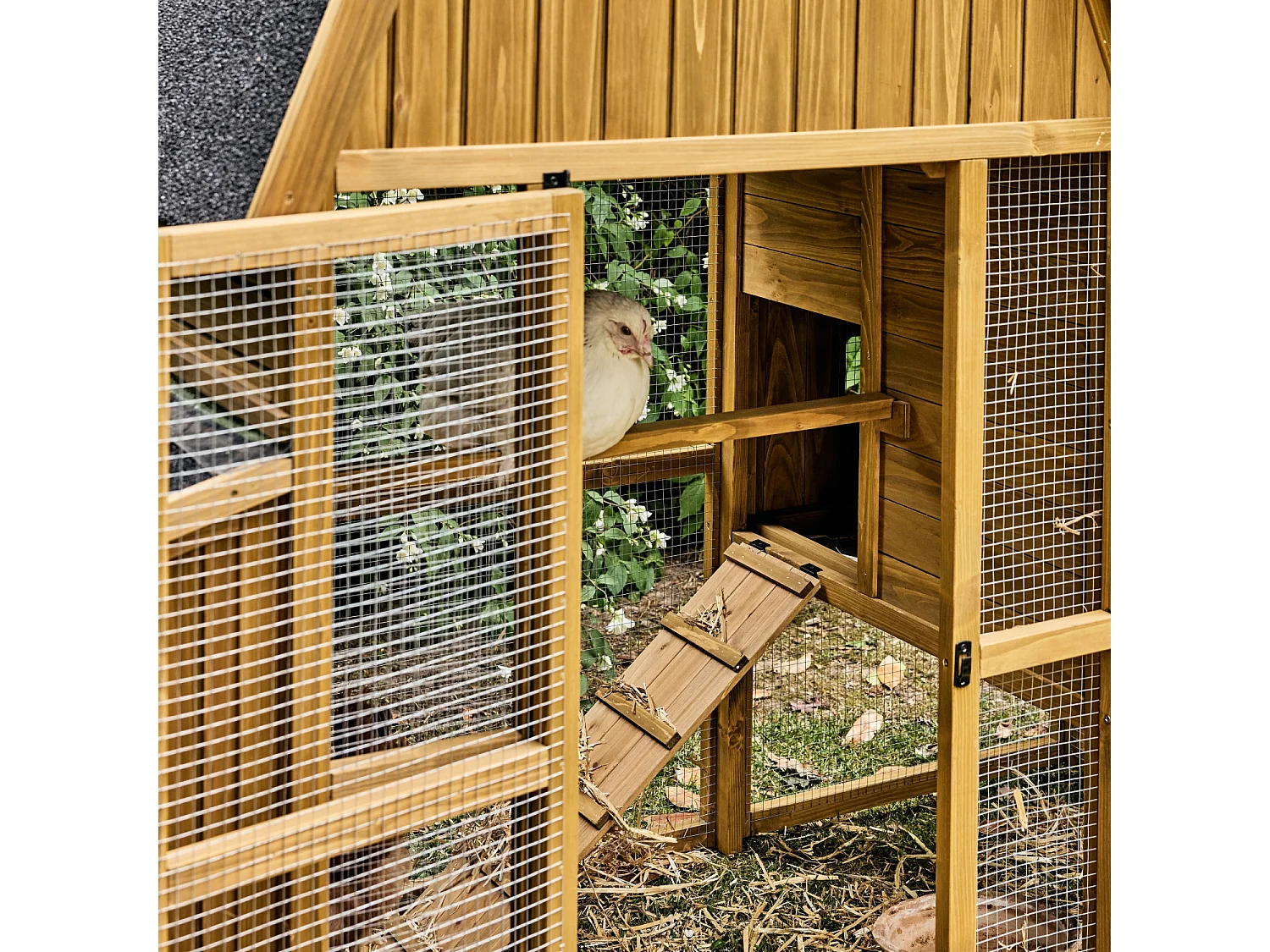 Gallinero en madera de abeto para 6 gallinas madera