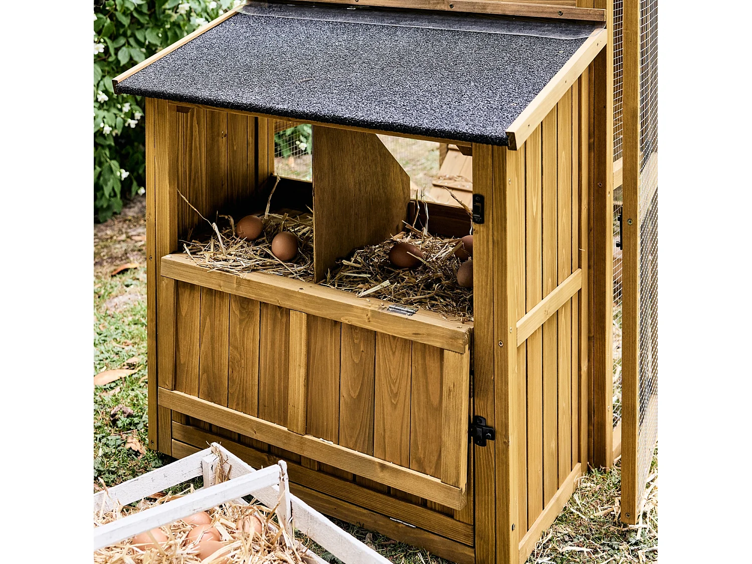 Gallinero en madera de abeto para 6 gallinas madera