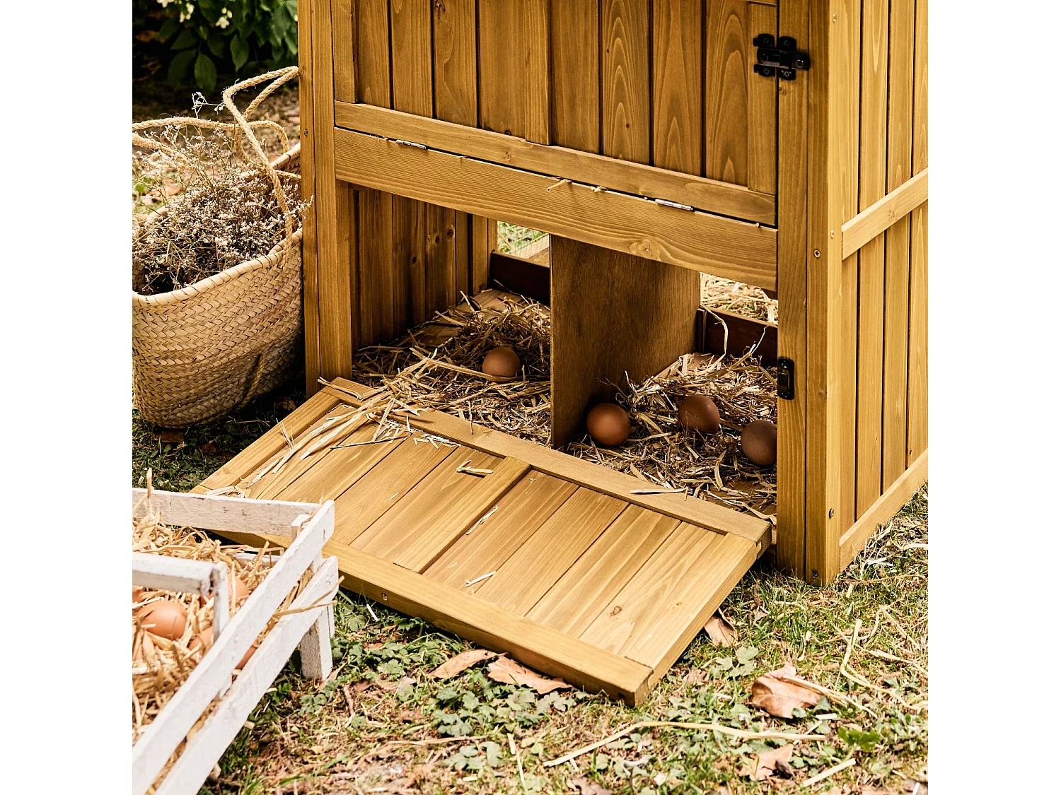 Gallinero en madera de abeto para 6 gallinas, Madera
