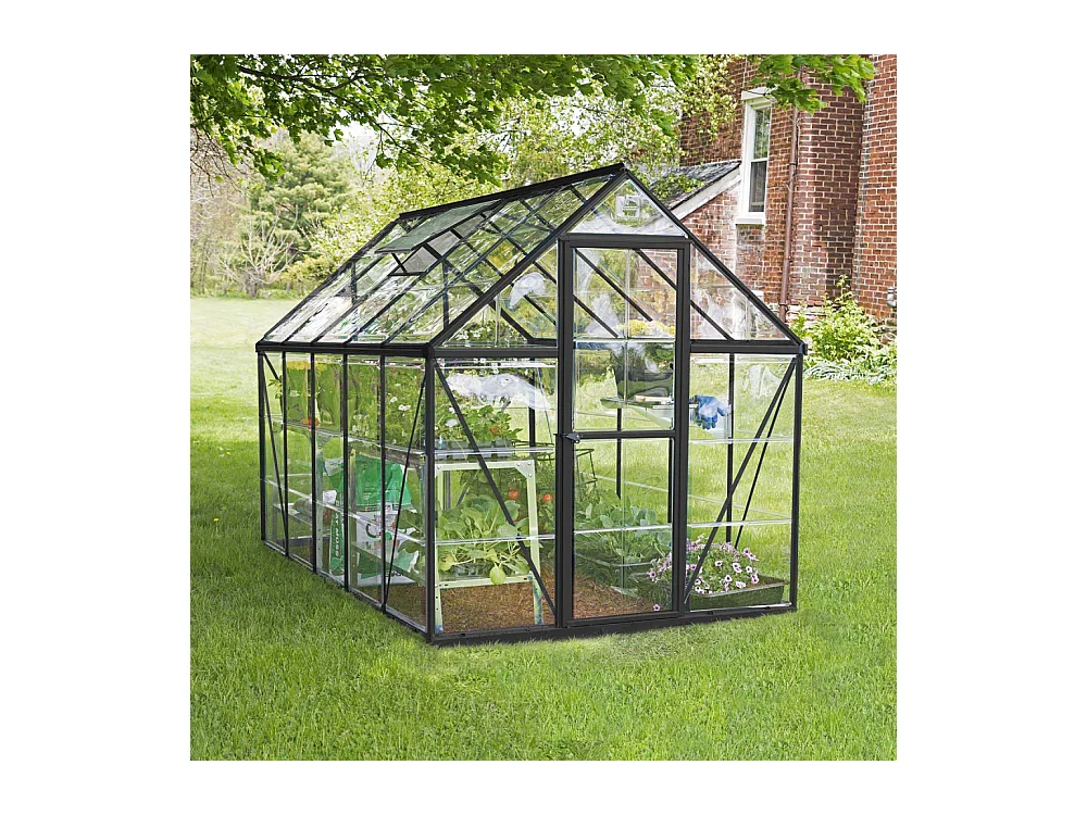 Serre de jardin en aluminium gris et polycarbonate Harmony 5.7m²