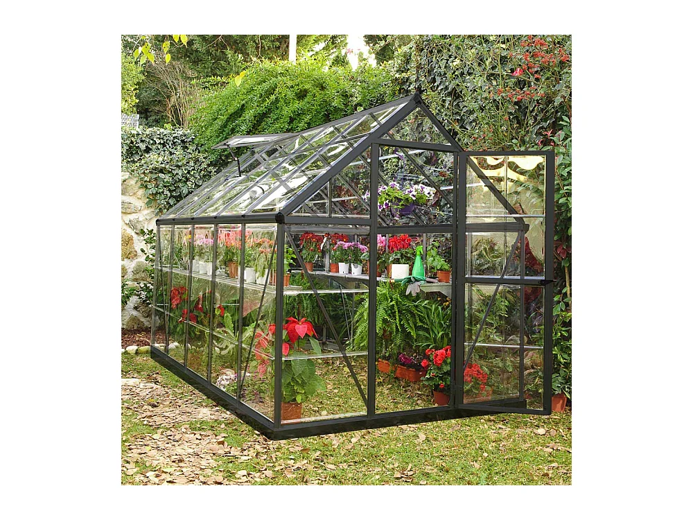 Serre de jardin en aluminium gris et polycarbonate Harmony 5.7m²