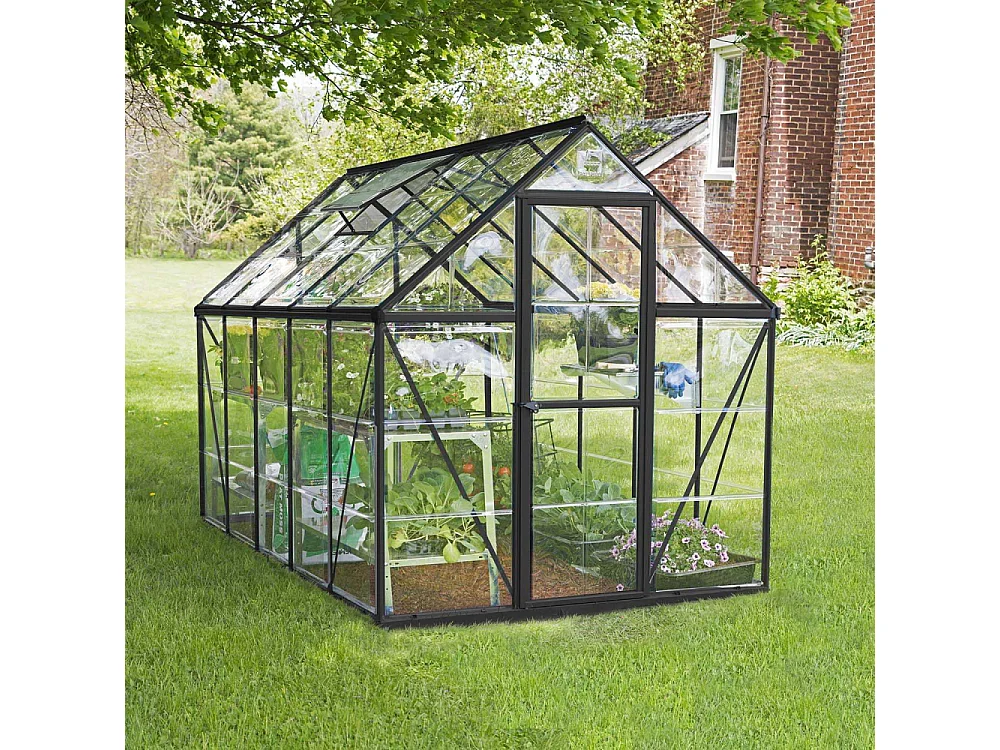 Serre de jardin en aluminium gris et polycarbonate Harmony 5.7m²