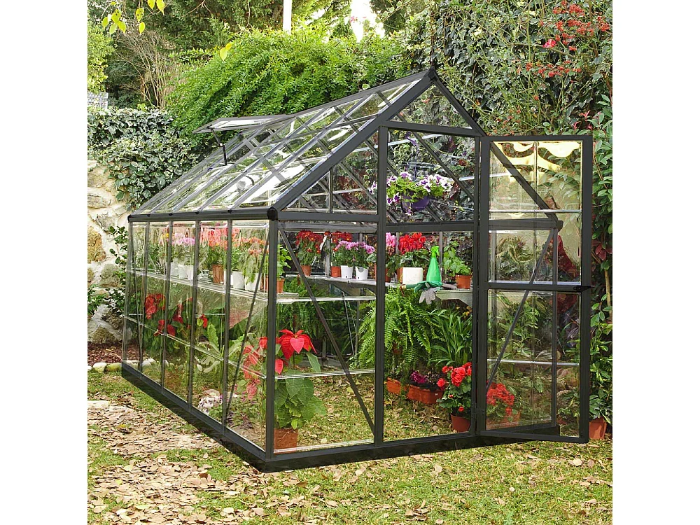 Serre de jardin en aluminium gris et polycarbonate Harmony 5.7m²