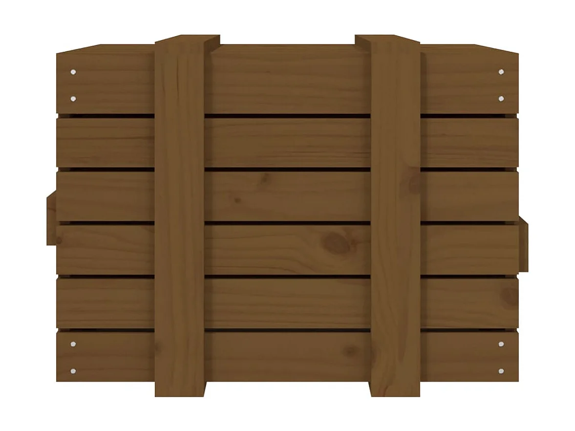 Boîte de rangement Marron miel 58x40,5x42 cm Bois massif pin
