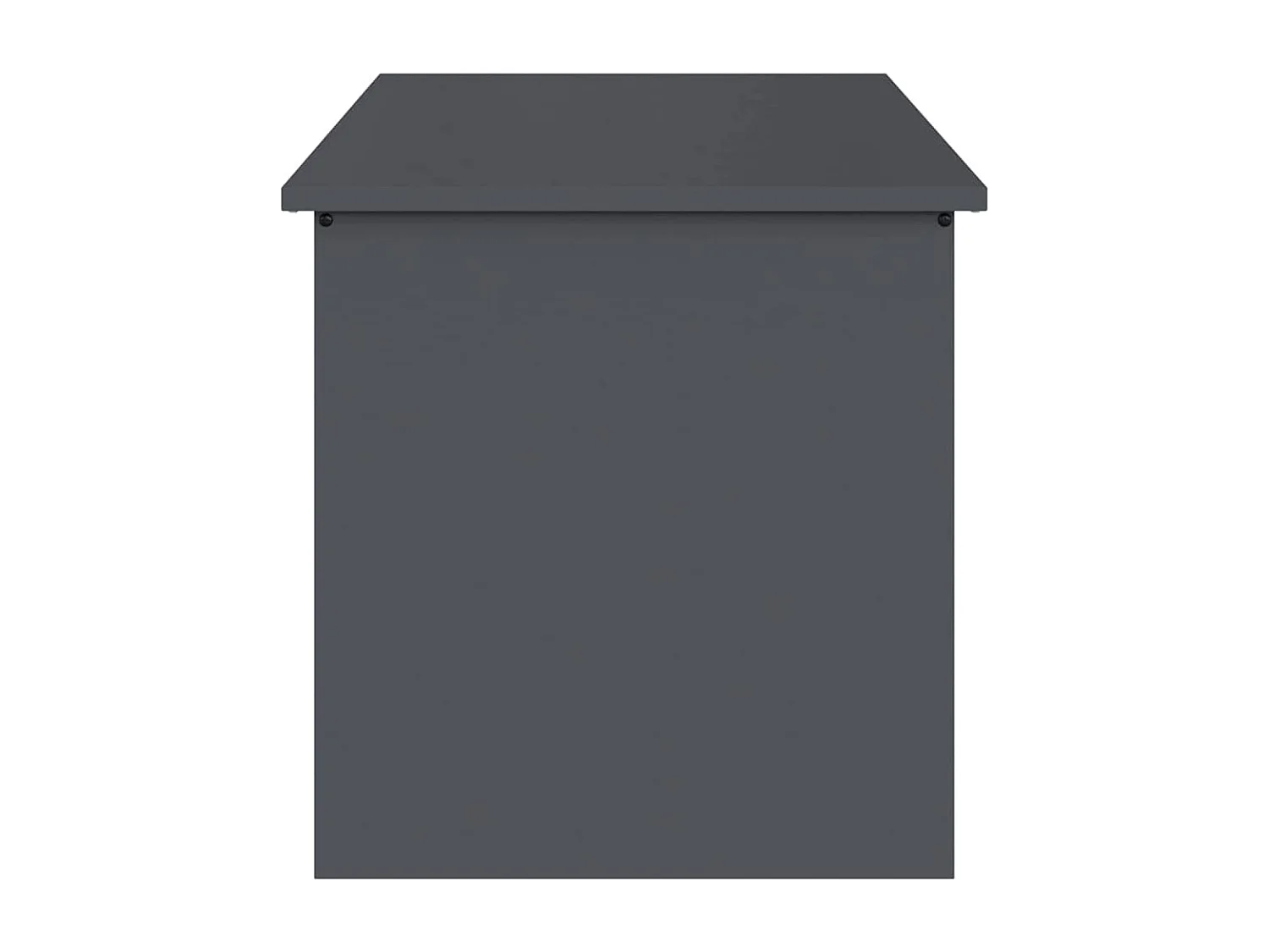 Boîte de Rangement Extérieure Anthracite 100 x 50.5 x 50 cm