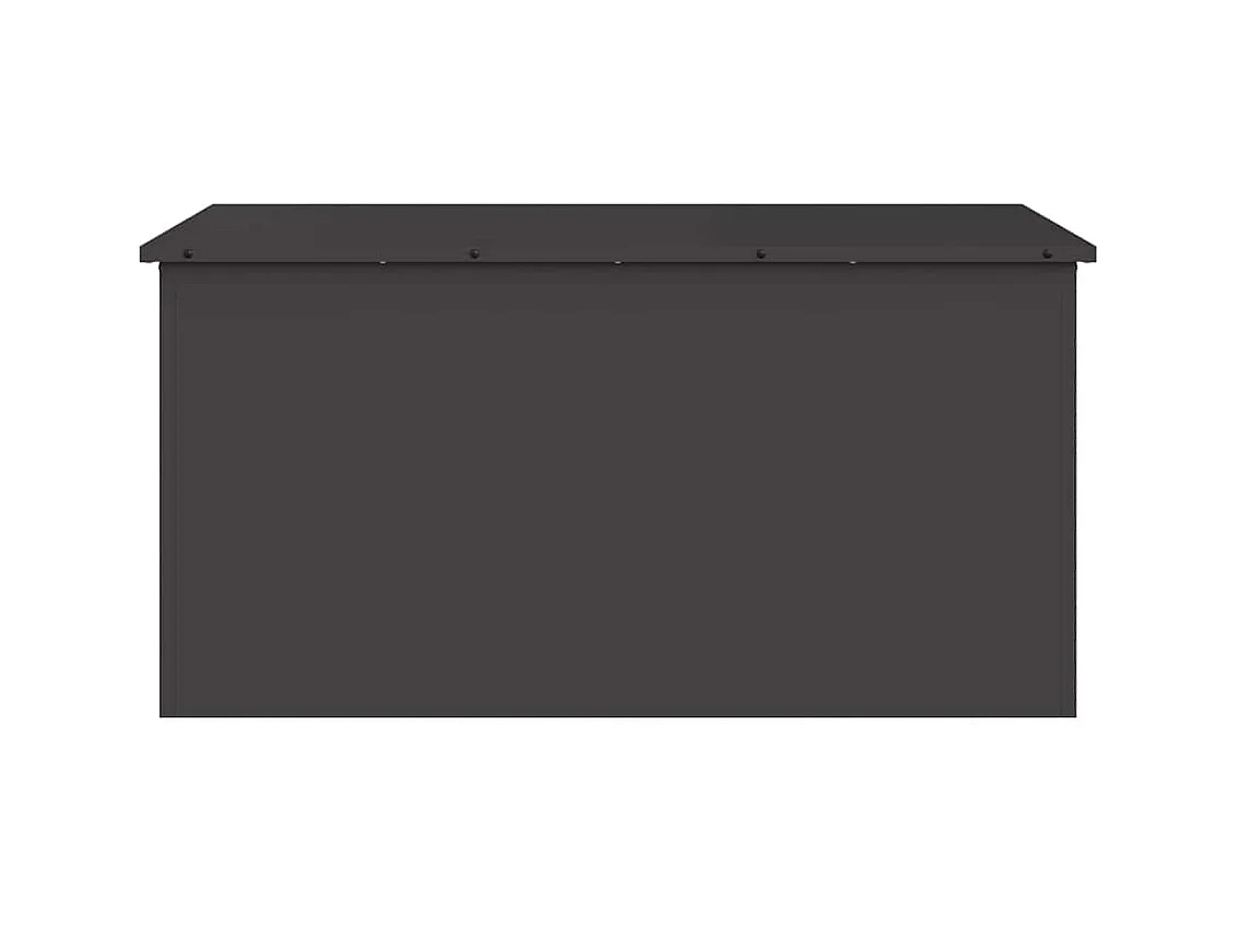 Boîte de Rangement Extérieure Noir 100 x 50.5 x 50 cm