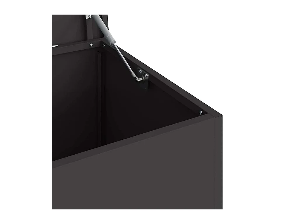 Boîte de Rangement Extérieure Noir 100 x 50.5 x 50 cm