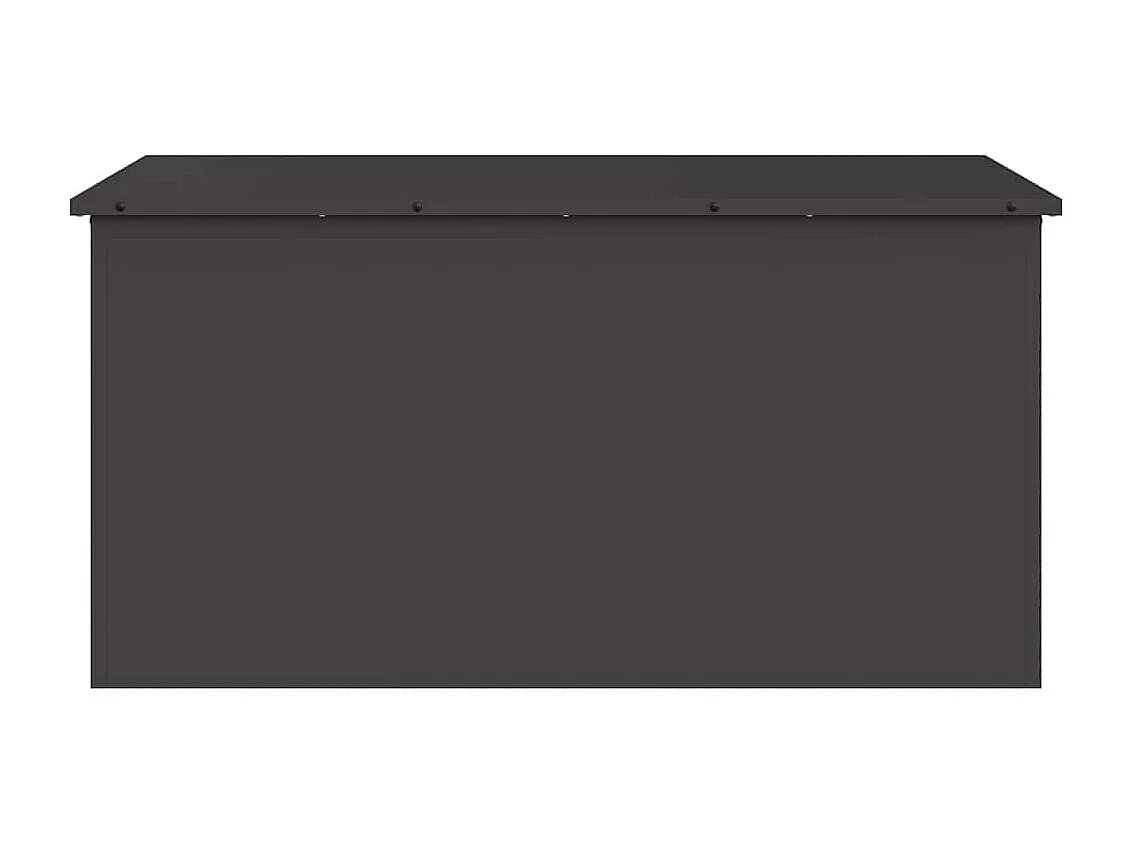 Boîte de Rangement Extérieure Noir 100 x 50.5 x 50 cm