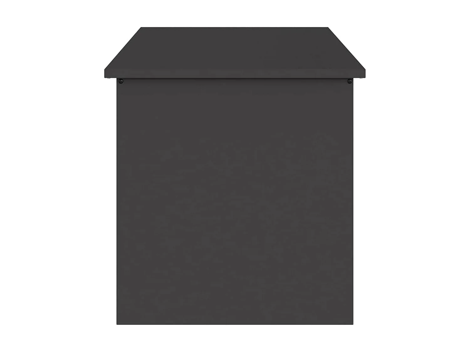 Boîte de Rangement Extérieure Noir 100 x 50.5 x 50 cm