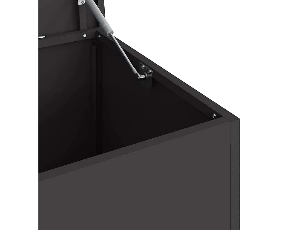 Boîte de Rangement Extérieure Noir 100 x 50.5 x 50 cm