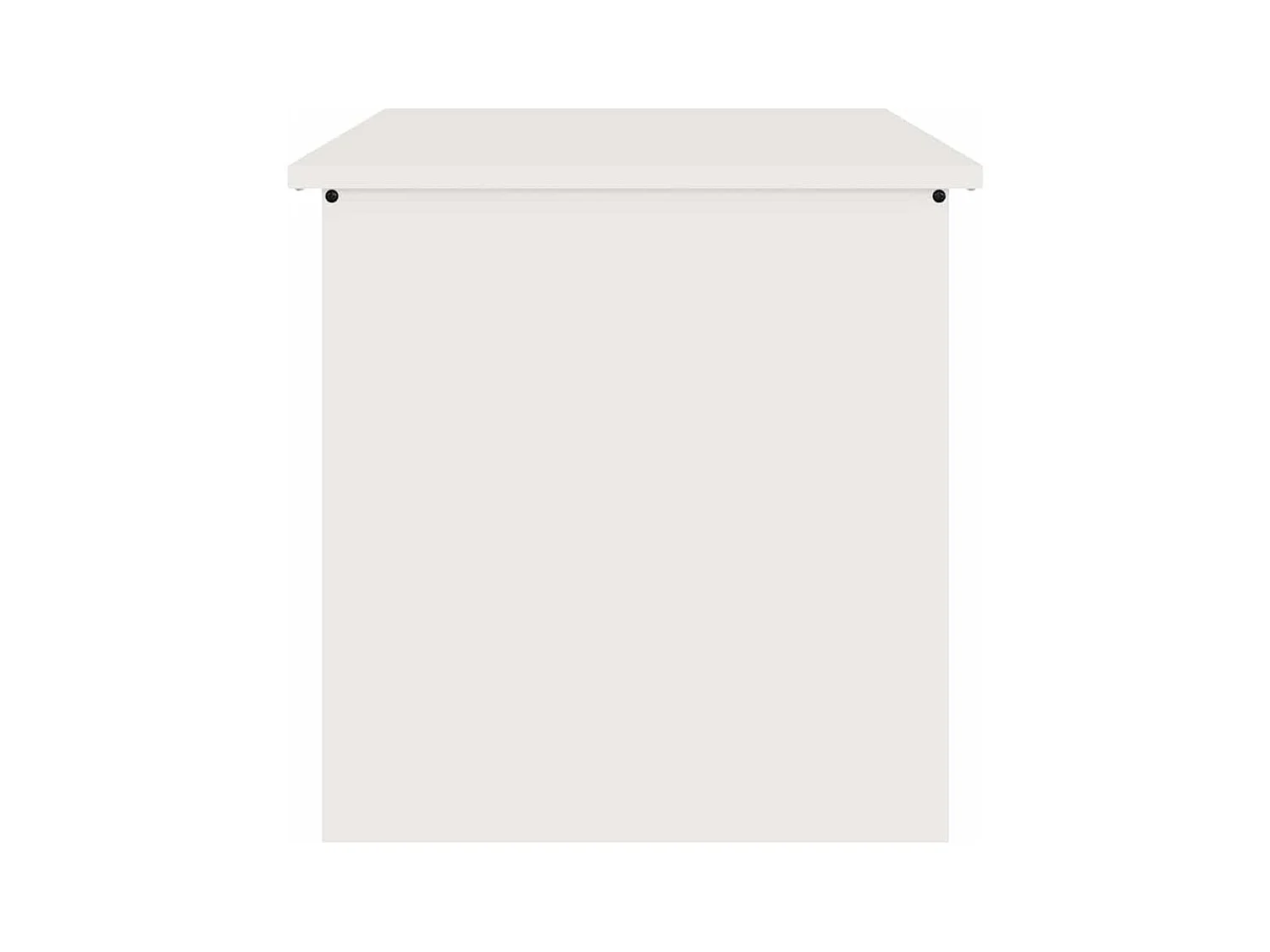 Boîte de Rangement Extérieure Blanc 55 x 50.5 x 50 cm