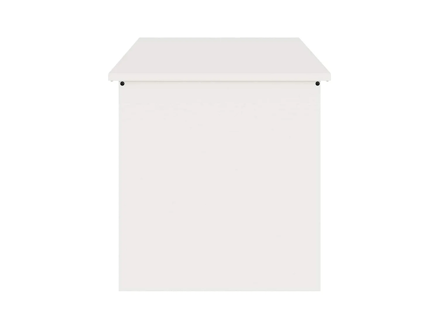 Boîte de Rangement Extérieure Blanc 100 x 50.5 x 50 cm