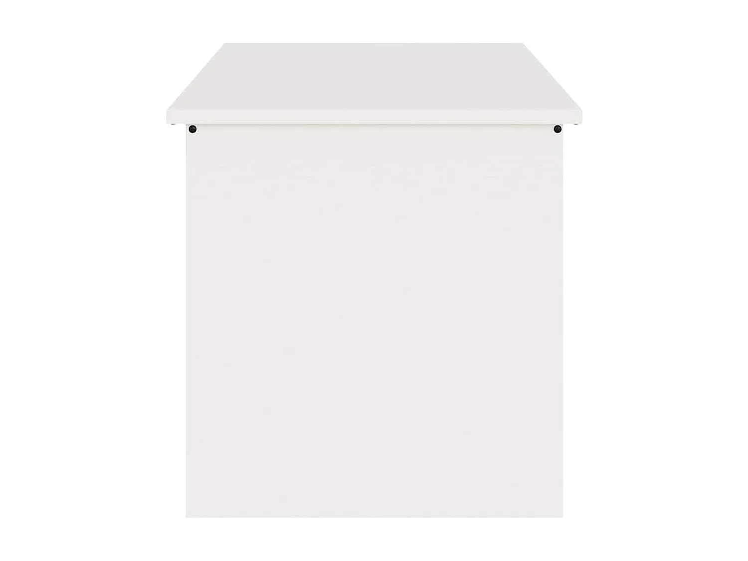 Boîte de Rangement Extérieure Blanc 100 x 50.5 x 50 cm