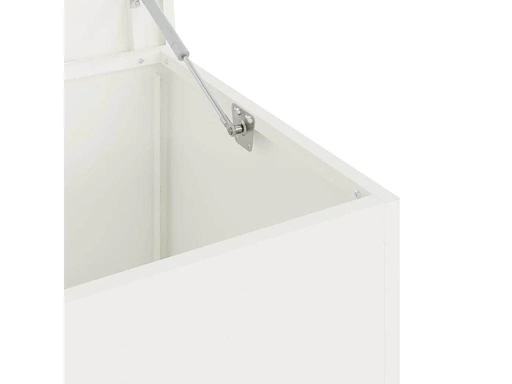 Boîte de Rangement Extérieure Blanc 100 x 50.5 x 50 cm