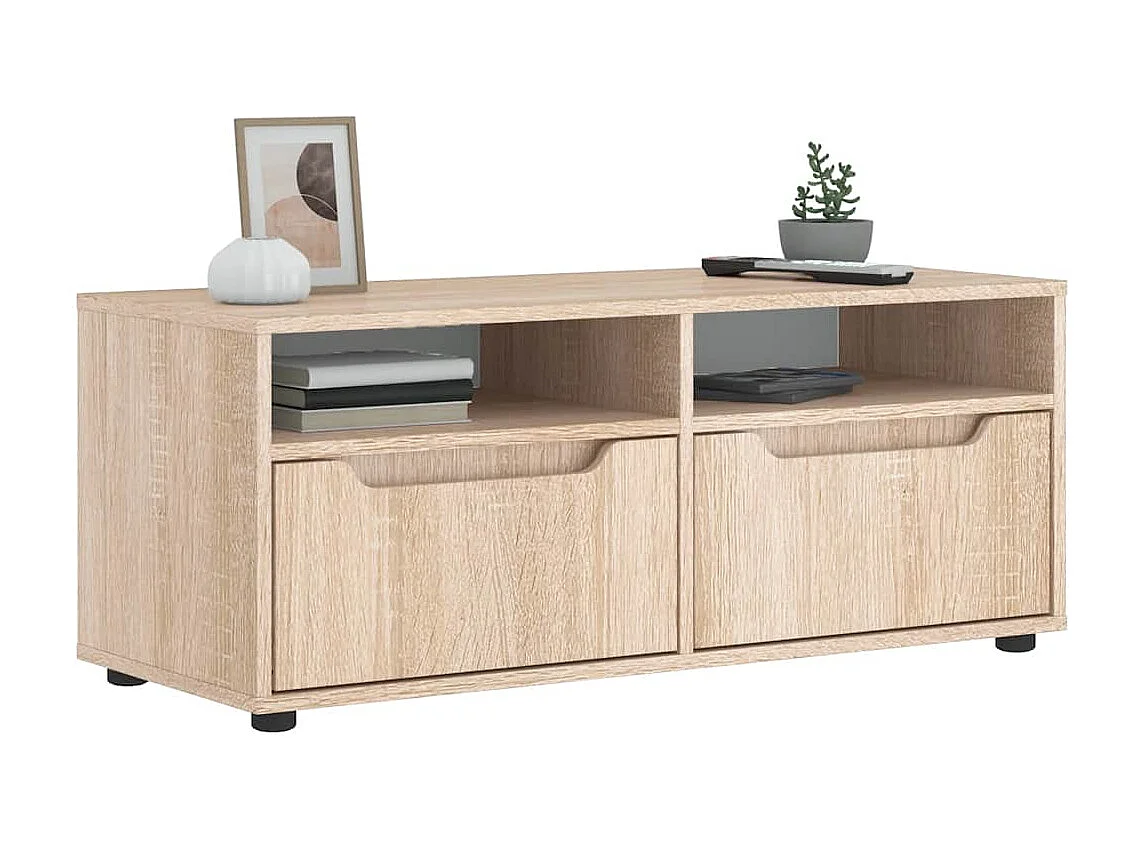 Meuble TV VISNES chêne sonoma 100x40x38 cm bois d'ingénierie