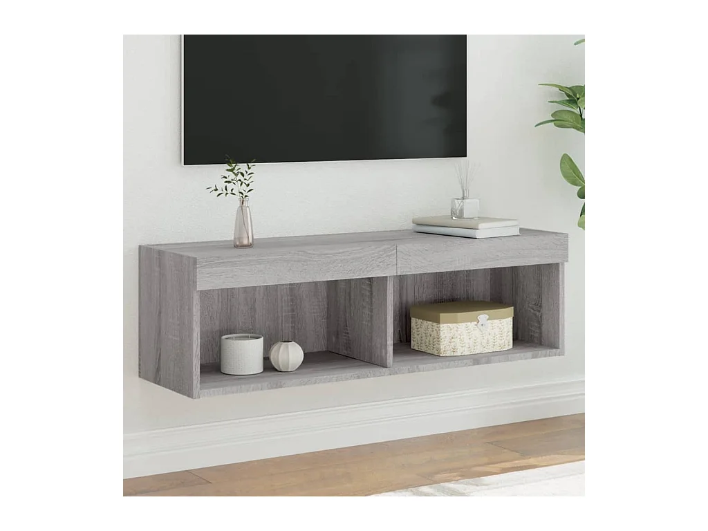 Meuble TV avec lumières LED sonoma gris 100x30x30 cm