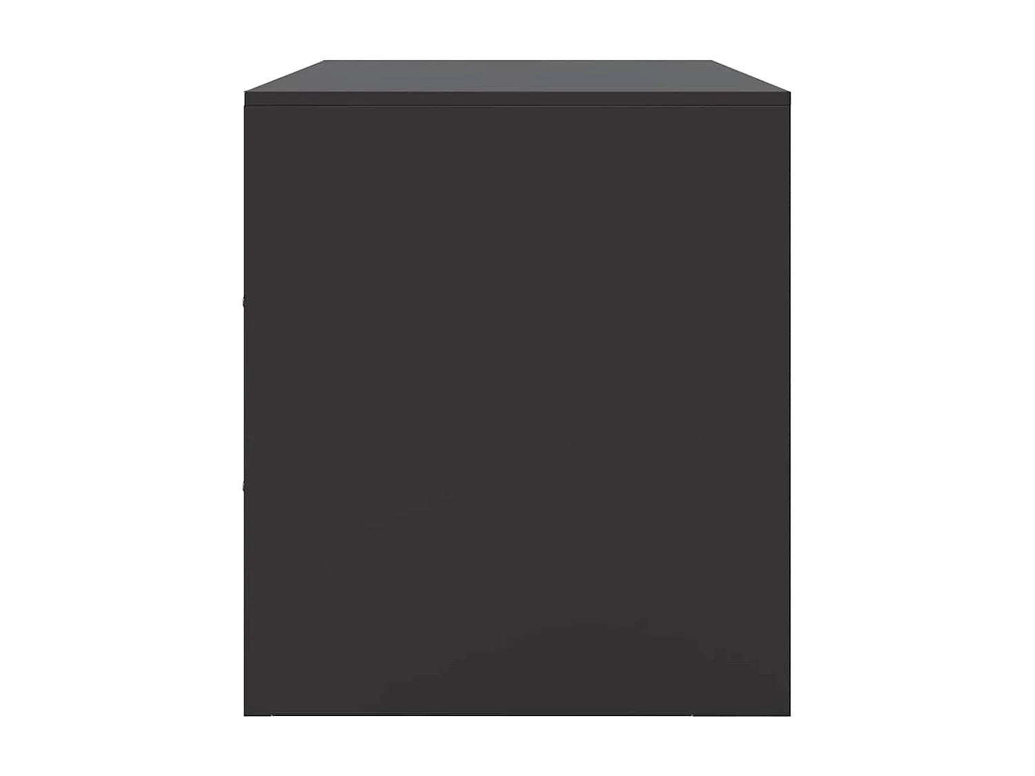 TV-kast 2 stuks zwart 67x39x44 cm staal