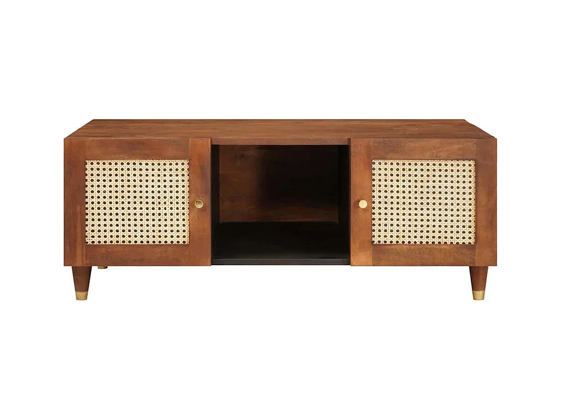 Tables basses Marron 100 x 54 x 40 cm