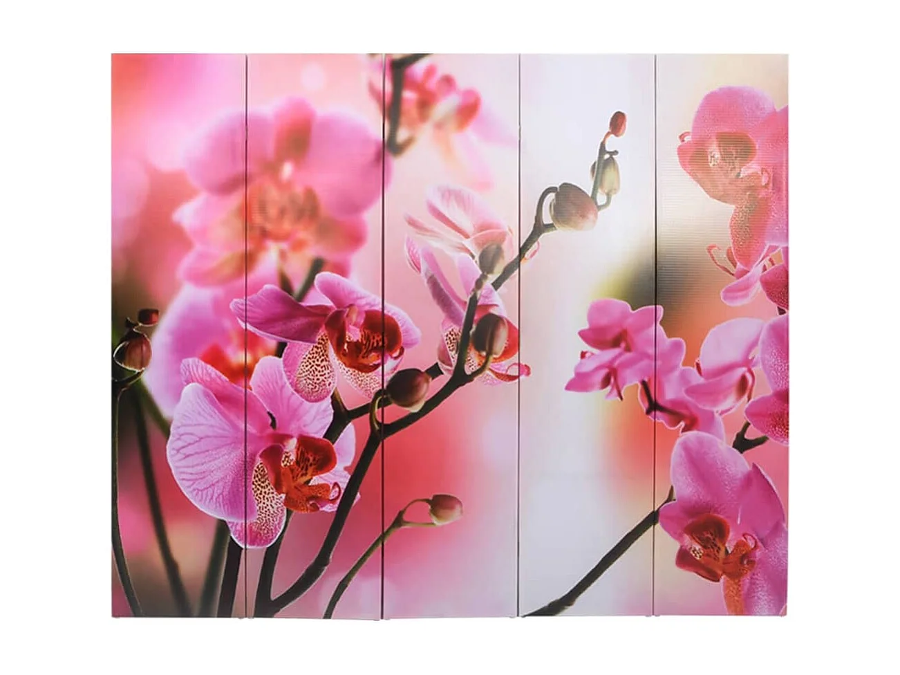 Parete divisoria pieghevole 200 x 170 cm Fiore