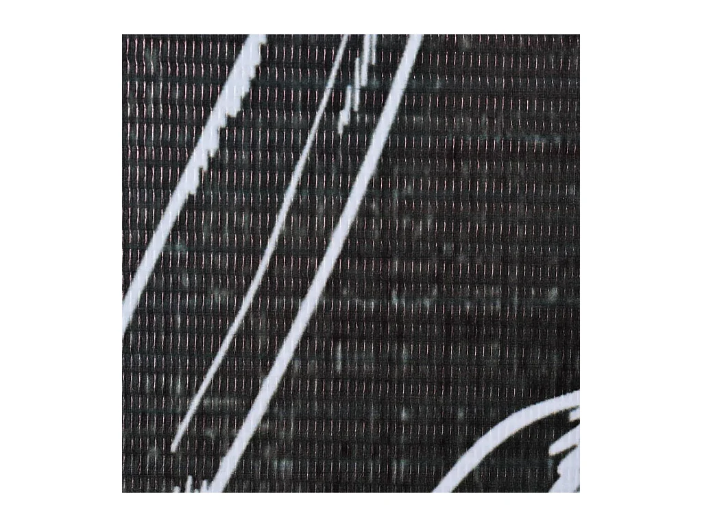 Vouwwand 200 x 170 cm Feathers Zwart-wit