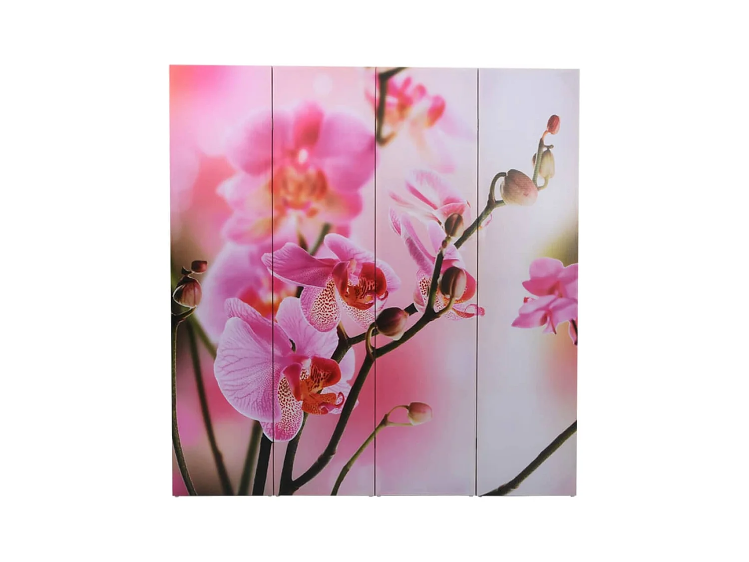 Faltbare Trennwand 160 x 170 cm Flower