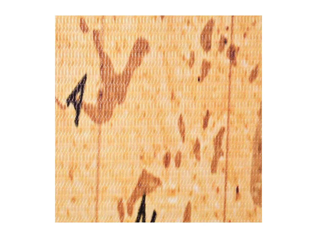 Cloison de séparation pliable 160 x 170 cm Carte du monde Jaune