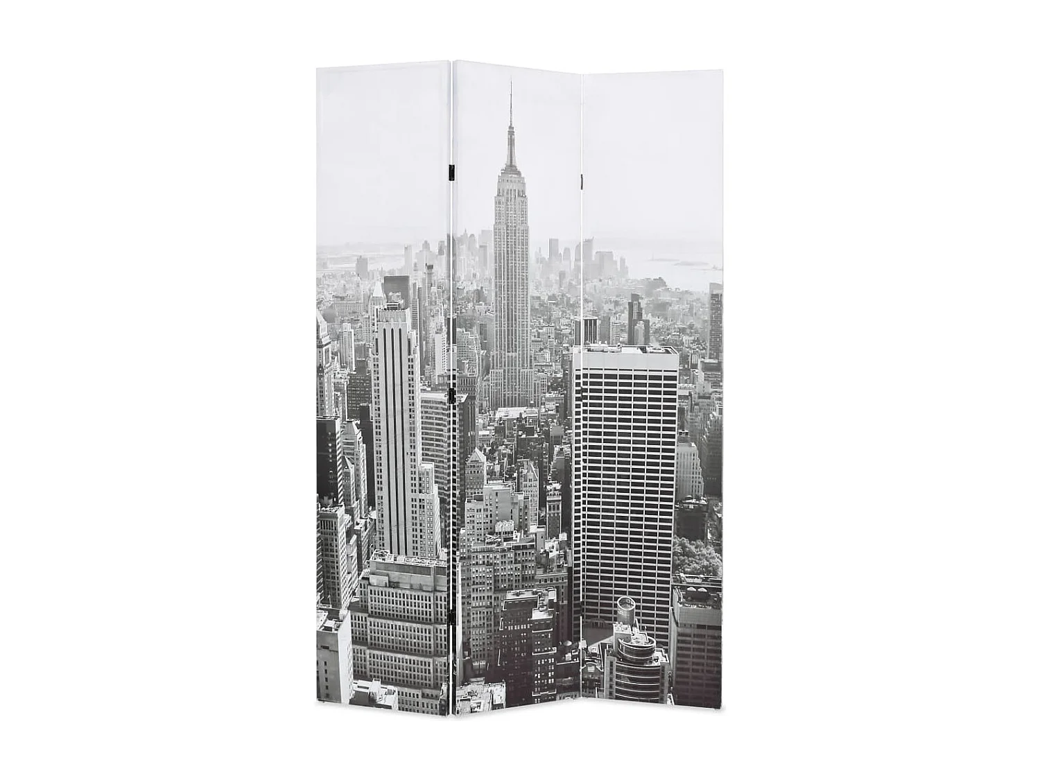 Parete divisoria pieghevole 120x170 cm New York Nero e bianco